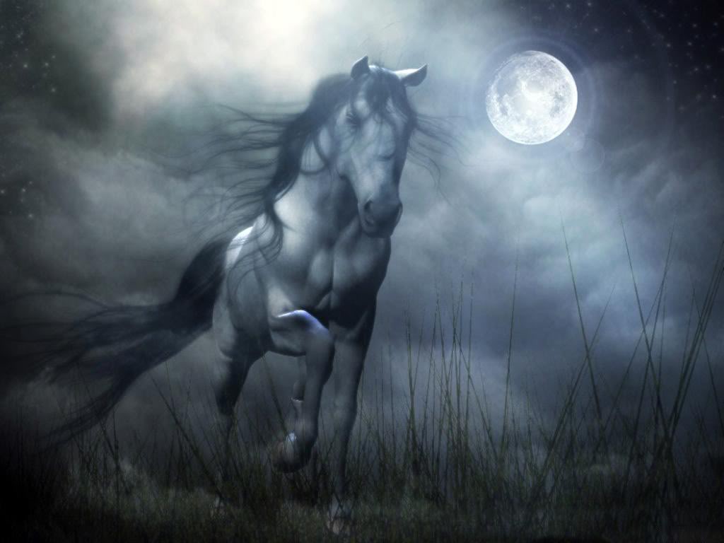 horse,moon